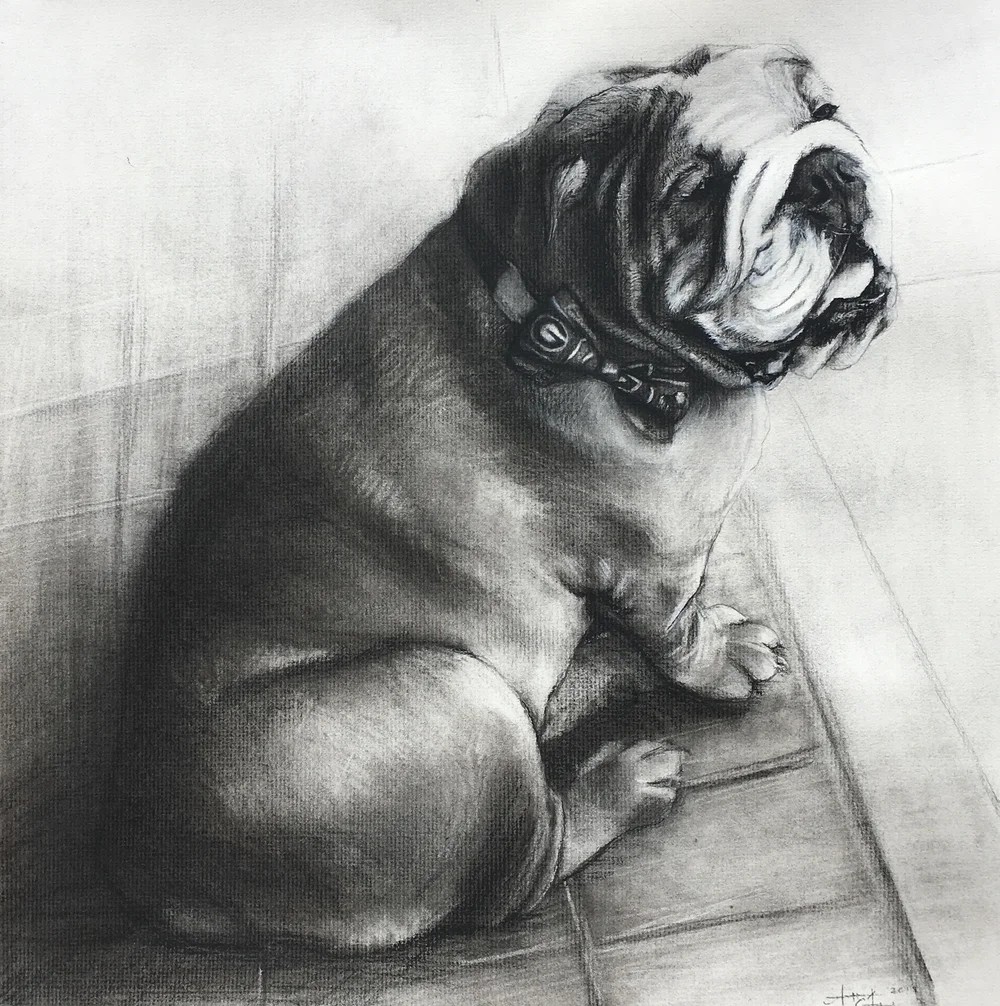 Custom artwork by Ashley Wiard - Sir Dooley (Charcoal on paper)